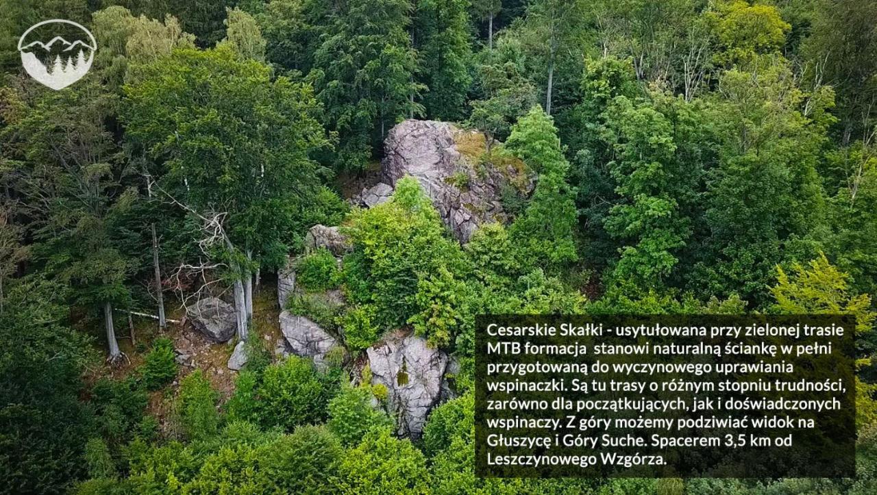 Agroturystyka Leszczynowe Wzgorze Gluszyca Kültér fotó